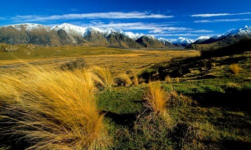 Landschaft Neuseelands