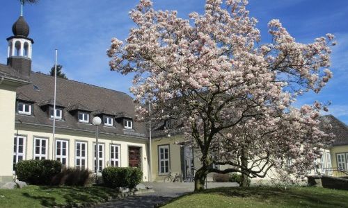 VHS-Gebäude mit blühendem Baum im Frühling